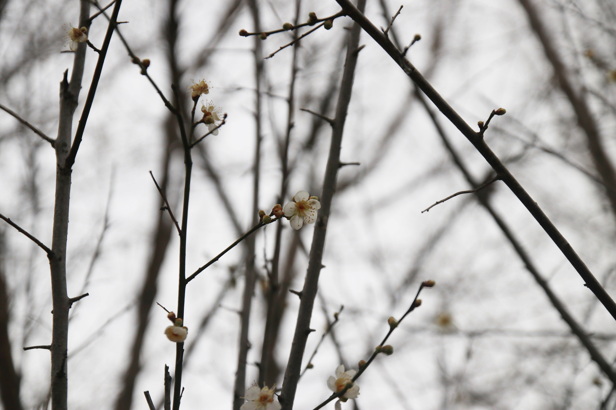 경남 의령군 국사봉 05 80