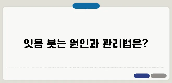 잇몸이 붓는 이유와 치주 건강 관리법