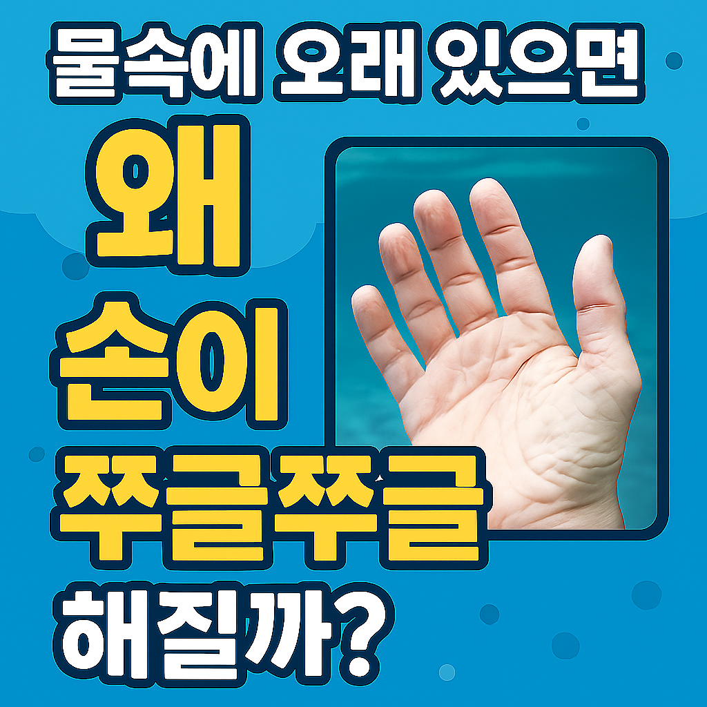 물속에 오래 있으면 왜 손이 쭈글쭈글 해질까?