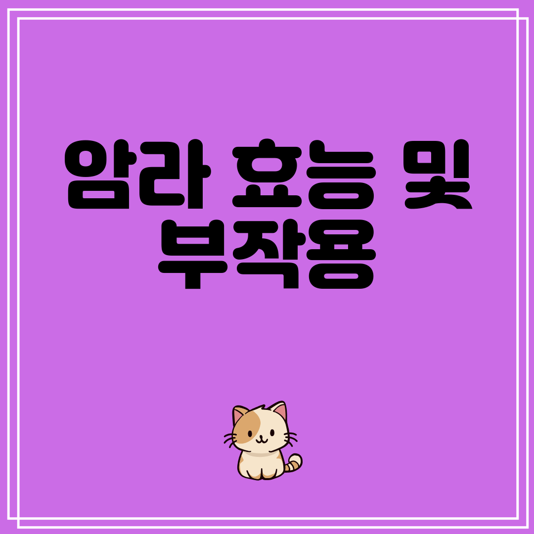 암라효능및부작용