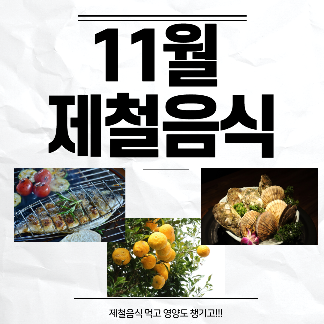 11월 제철음식 먹고 영양듬뿍 원기 회복하기