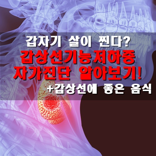 엑스레이에 찍힌 갑상선의 모습