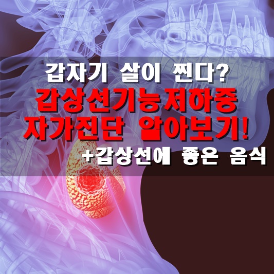  갑자기 살이 찐다? 갑상선기능저하증 자가진단 알아보기! + 음식