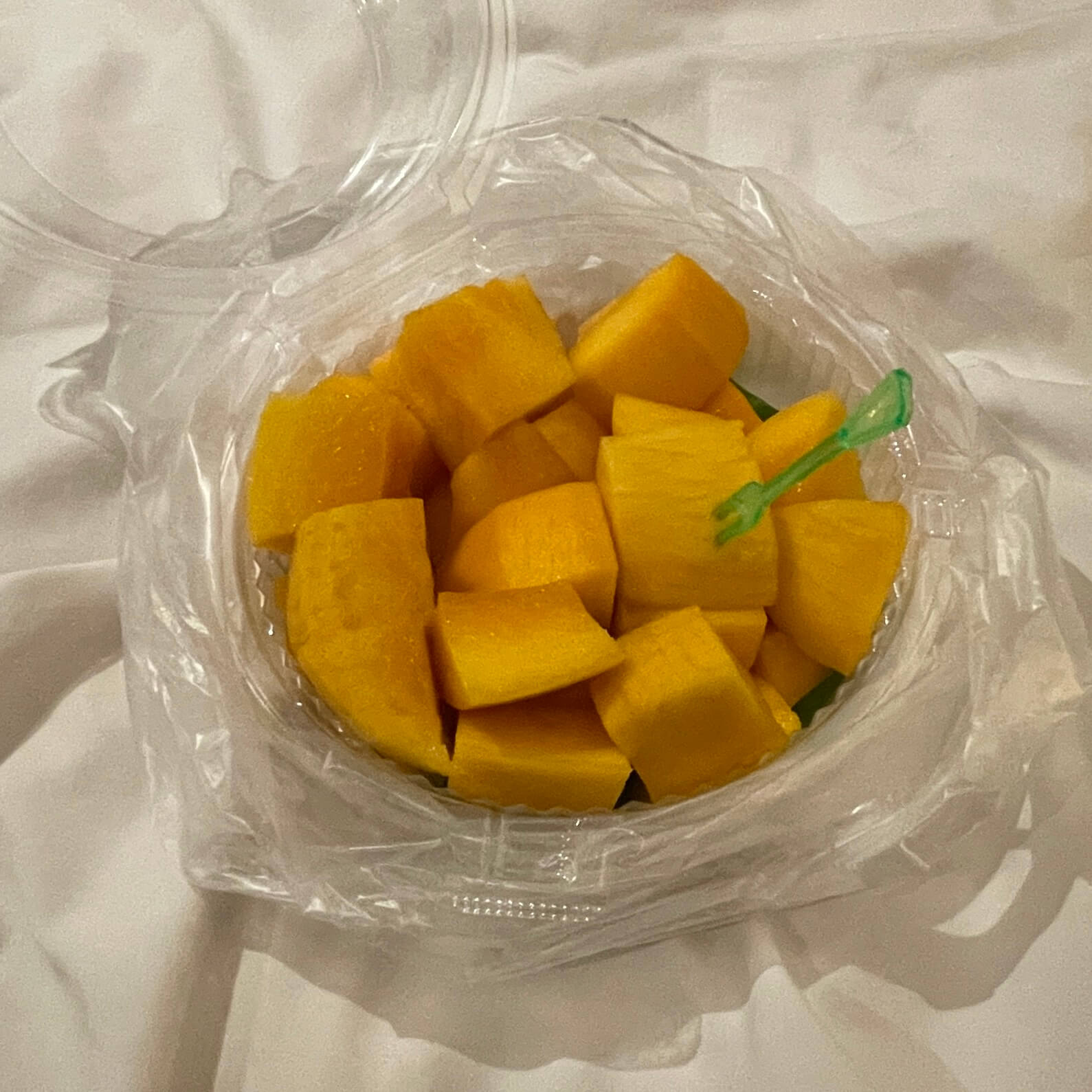 치앙마이 망고
