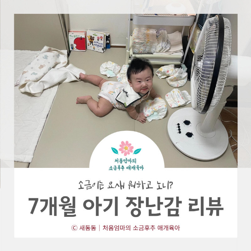 7개월 아기 장난감 리뷰