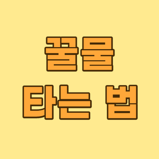  꿀물 타는법 아침 자기전 음주후 효능