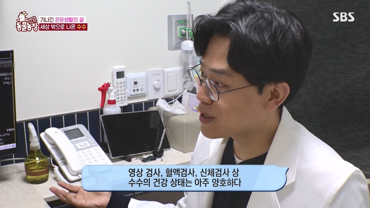 TV 동물농장.E1173.240527p-NEXT.mp4_20240526_155719.244.jpg