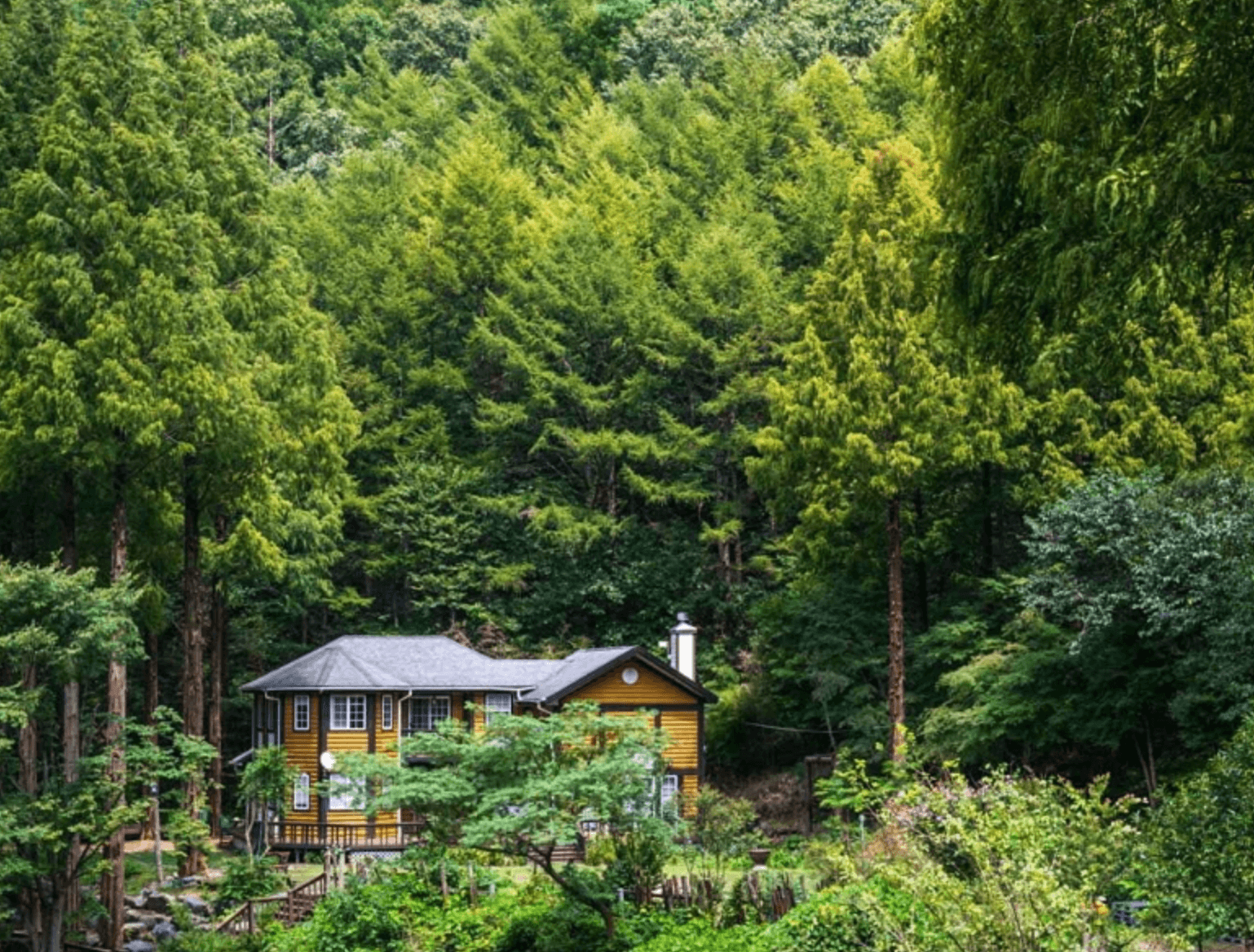 논산 온빛자연휴양림 메타세쿼이아나무 숲과 잔잔한 호수가 어우러진 추천여행지
