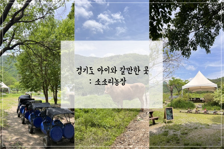 소소리 이미지