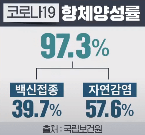 코로나-항체양성률