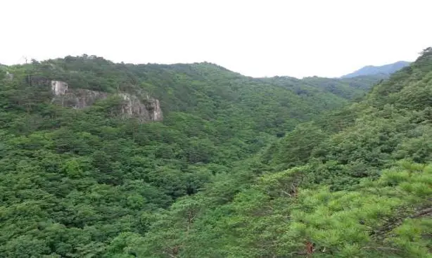 쉰움산