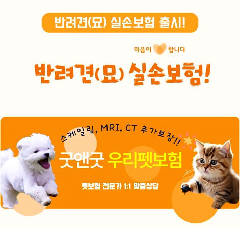 굿앤굿우리펫보험 : 반려견과 반려묘를 위한 완벽한 선택 실손보험 출시!
