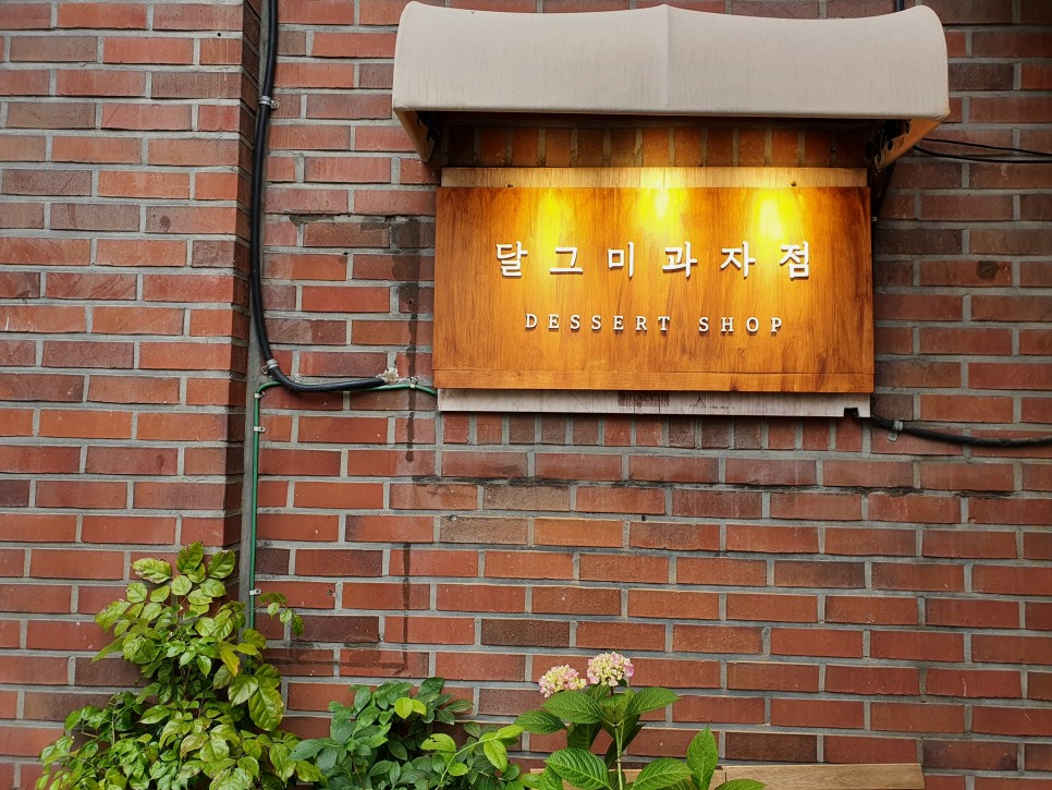 달과자점 이미지