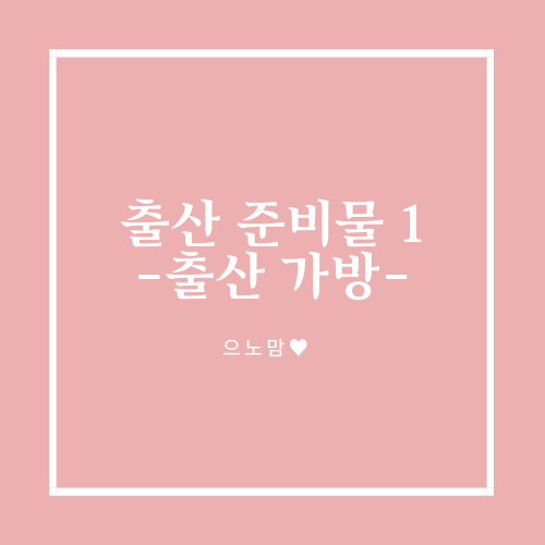  출산 준비물1 - 출산 가방