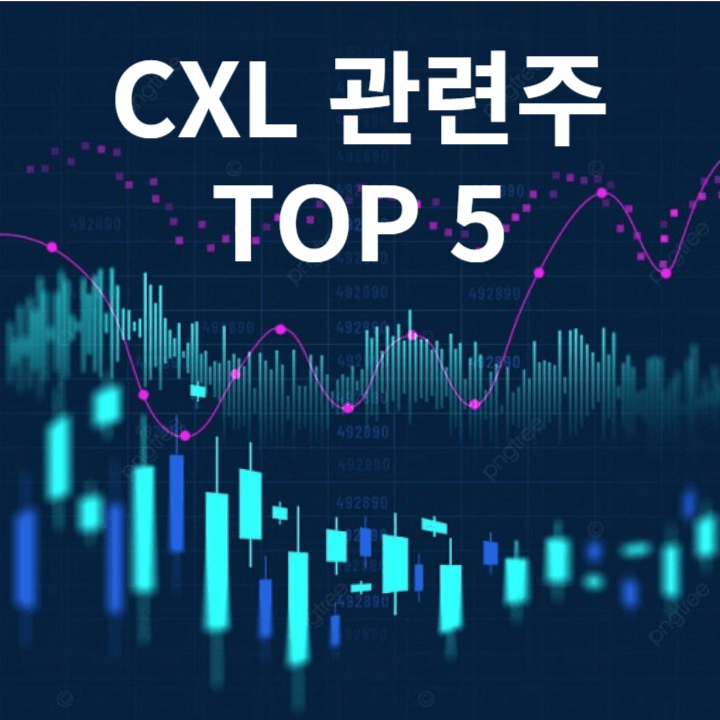 CXL 관련주 TOP 5