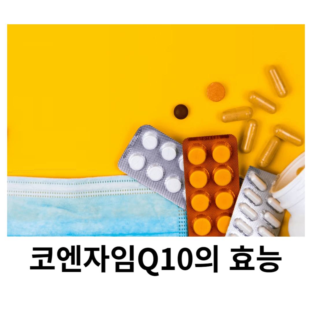 코엔자임Q10-효능-효과