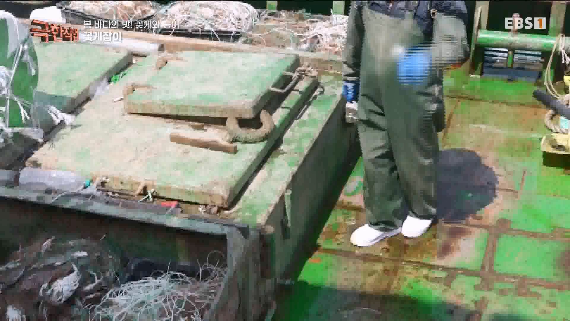 극한 직업 꽃게와 숭어 1080p.mp4_20230530_194646.322.jpg