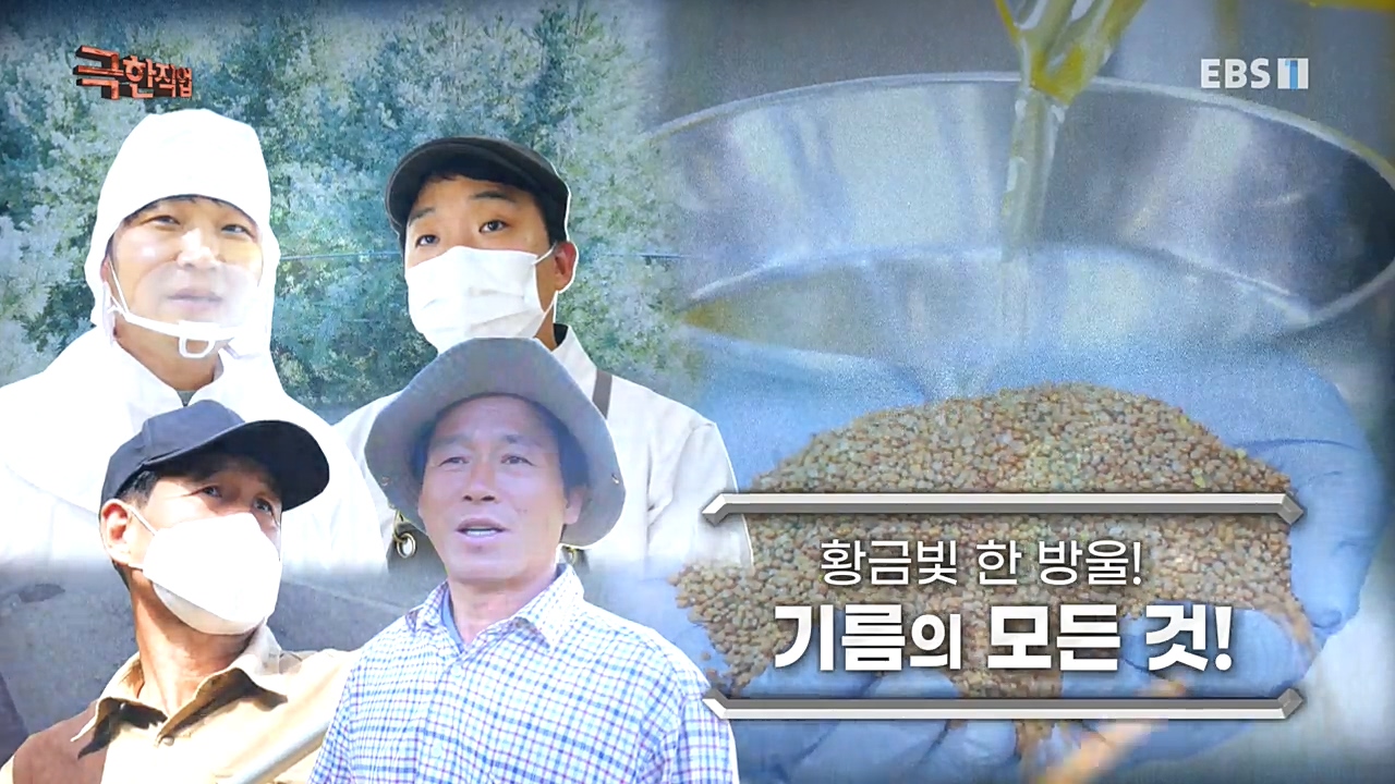 TV - 교육의 중심 EBS황금빛 한 방울! 기름의 모든 것!.mp4_20221031_185349.403.jpg