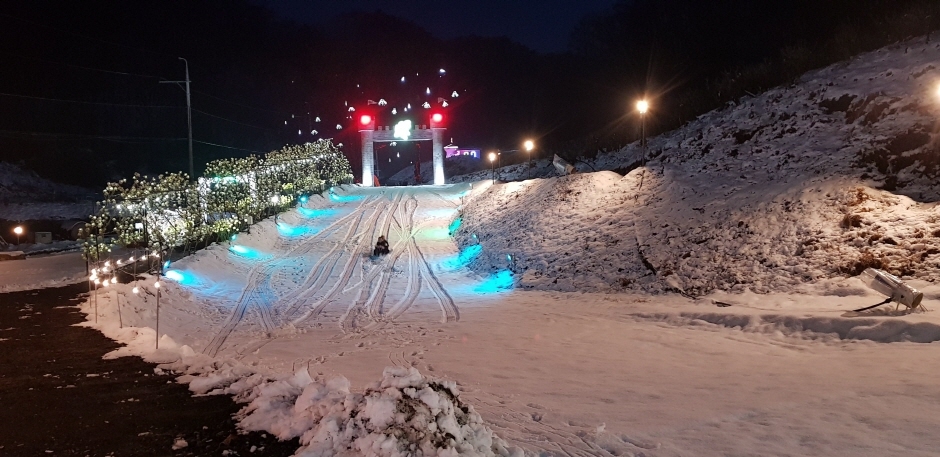 원주 고니골 빛축제