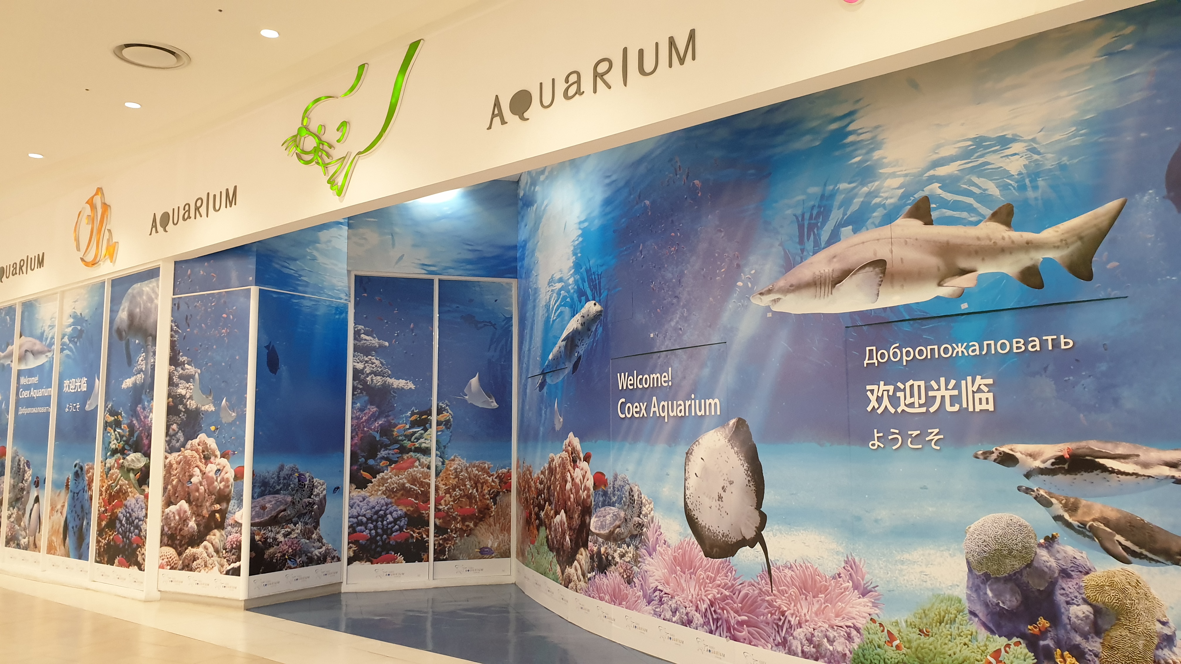  서울 코엑스 아쿠아리움, 네이버 쿠팡 할인으로 싸게