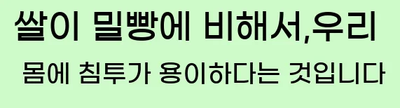  쌀이 밀빵에 비해서,우리 몸에 침투가 용이하다는 것입니다