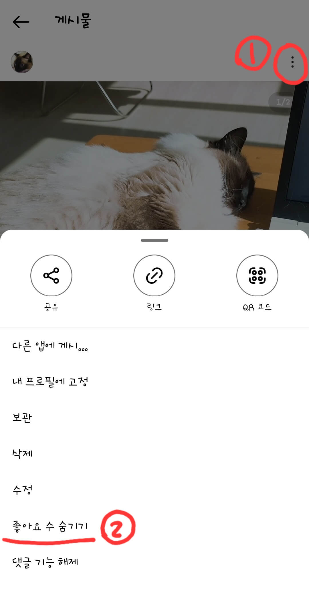 인스타그램-피드-설정-화면-이미지