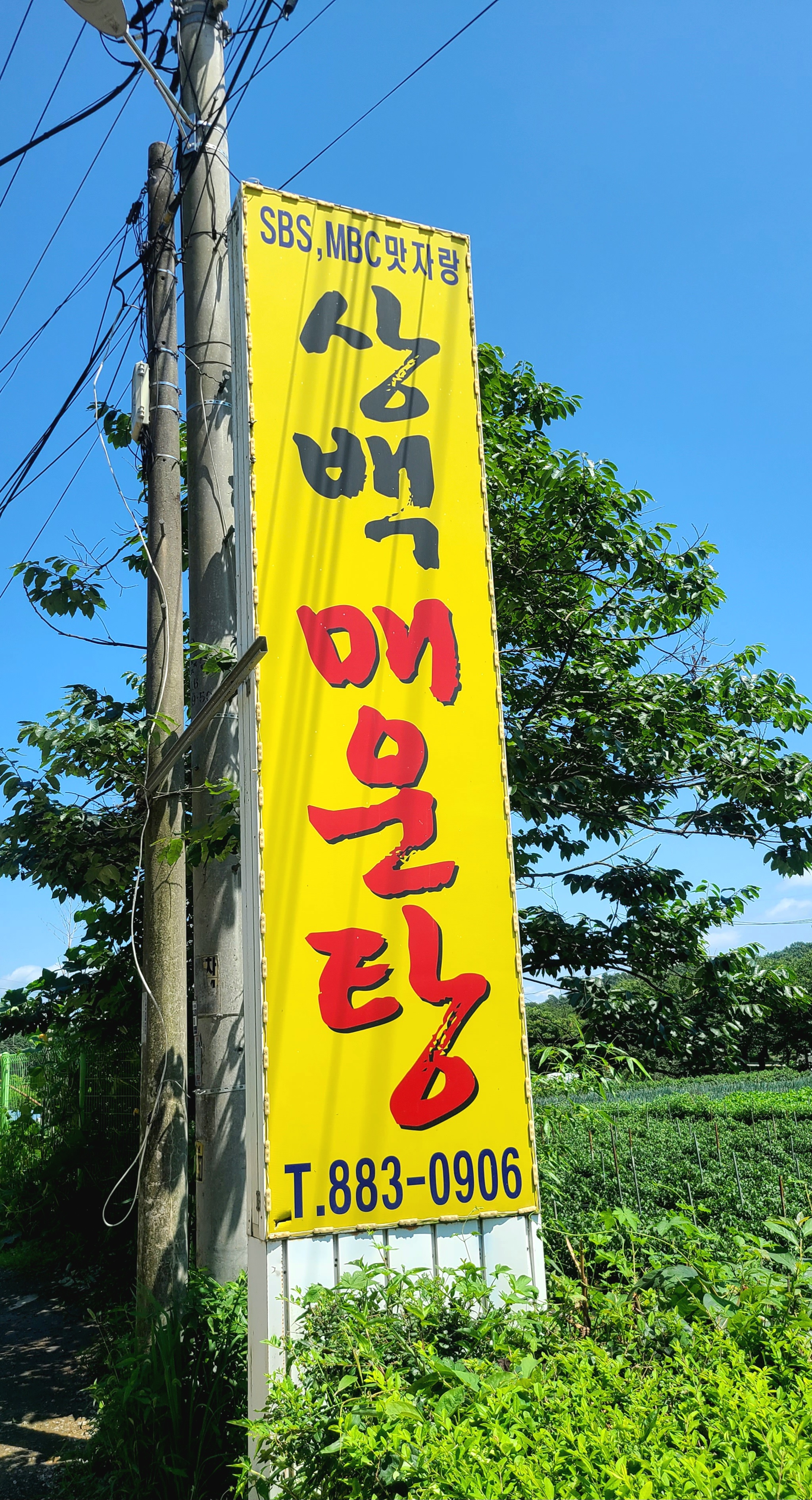 상백매운탕 이미지