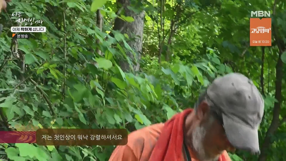 나는 자연인이다.E560.230628p.H264-F1RST.mp4_20230701_182651.970.jpg