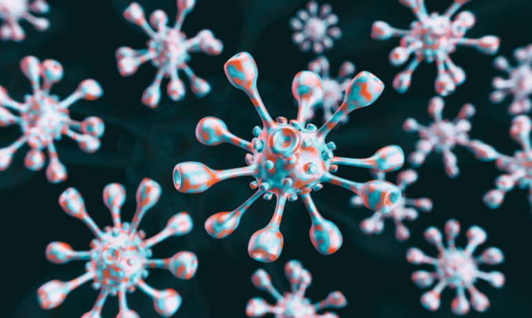 고양이 화장실 모래 유지관리 체크리스트