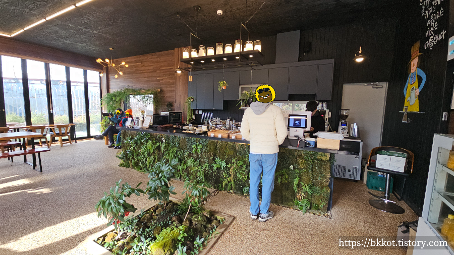 제주도 머들