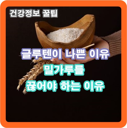 글루텐이-나쁜-이유-밀가루를-끊어야-하는-이유