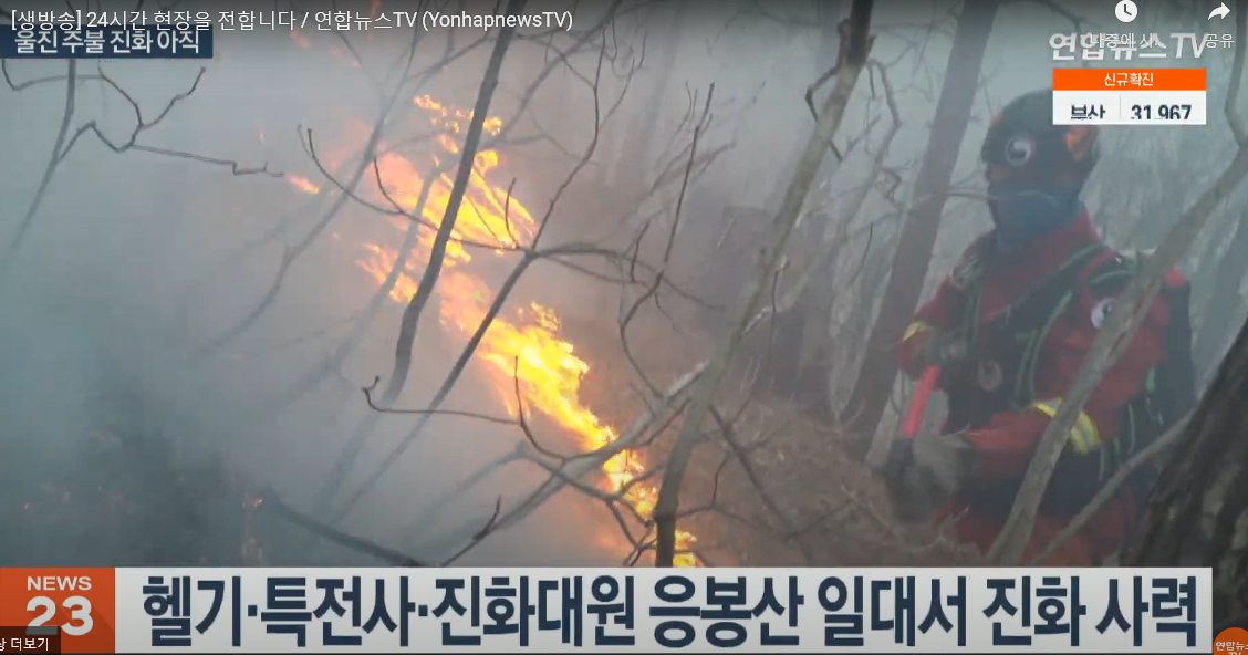   뚜뚜월드