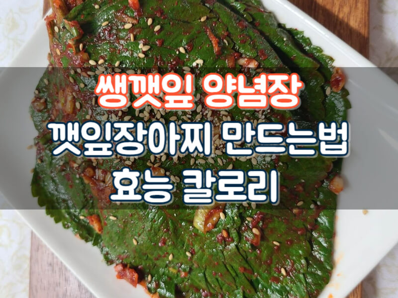 생깻잎 양념장 깻잎장아찌 만드는법 레시피 효능 칼로리