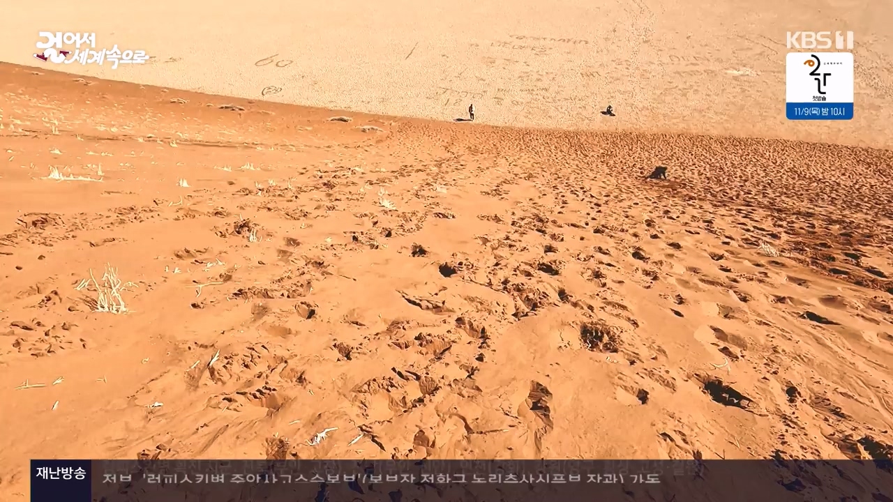 걸어서 세계속으로.E816.231105p-NEXT.mp4_20231104_175438.736.jpg