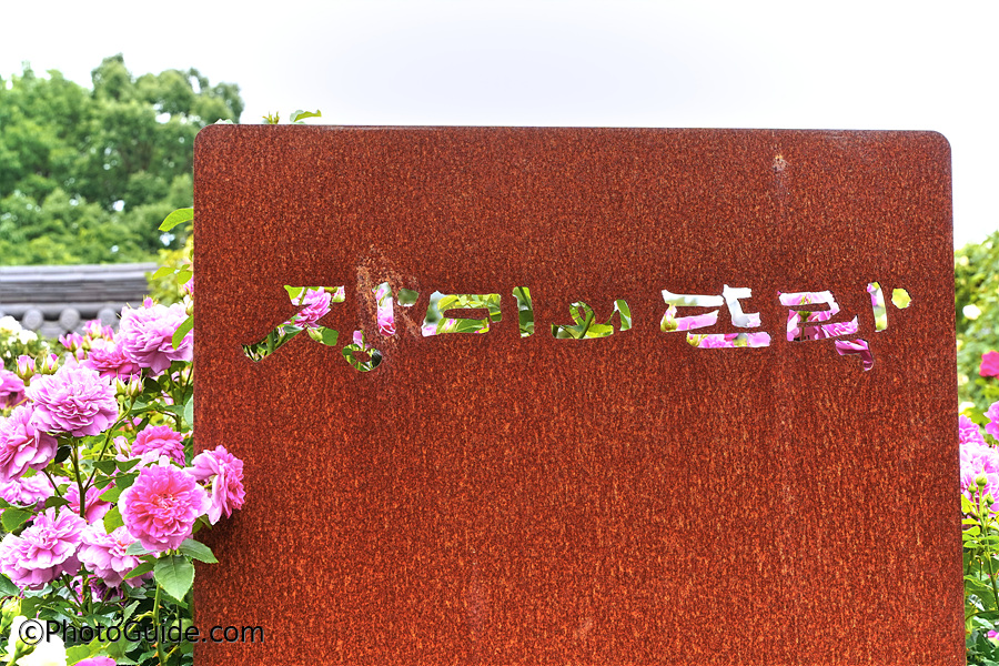 장미의뜨락-전주수목원
