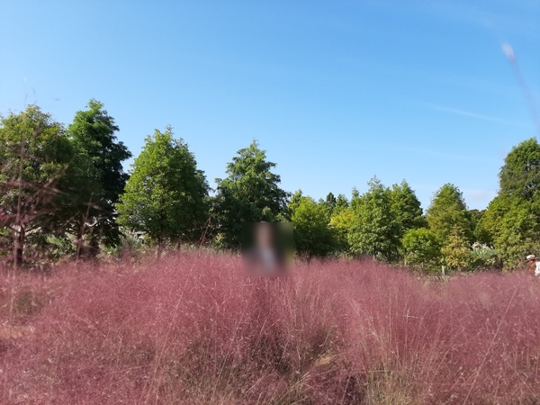 신탁업무 디벨로퍼의 필수지식입니다 부동산금융과 1