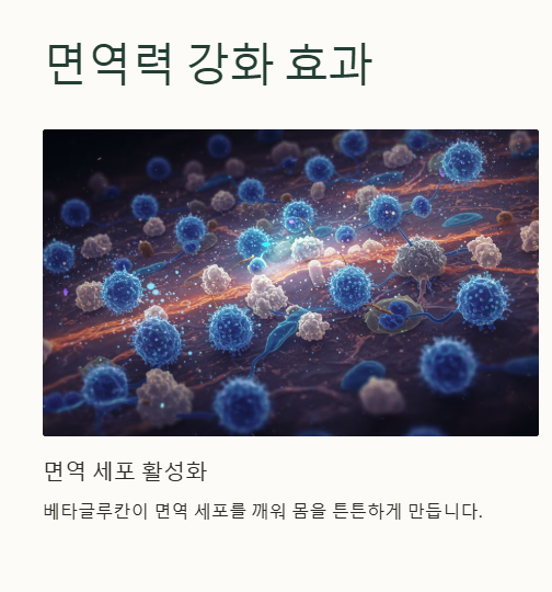 차가버섯의 주요 효능&amp;#44; 면역력 강화