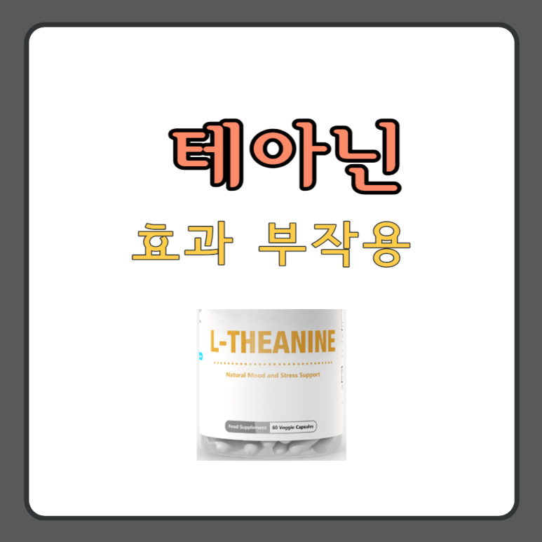 L테아닌 효능·부작용(정서불안 긴장완화제) 4
