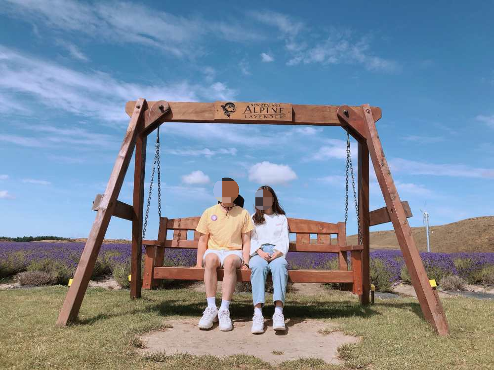 nz 알파인 라벤더