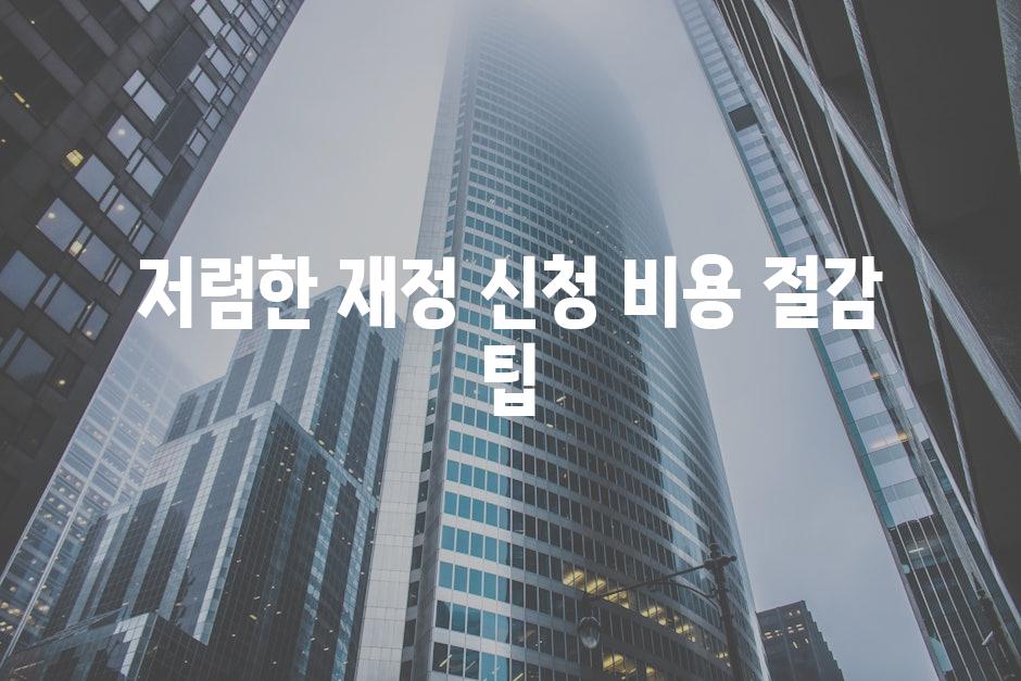 저렴한 재정 신청 비용 절감 팁