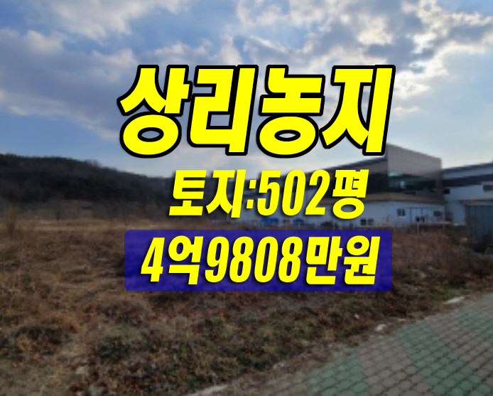 공장용지 상업용지 경매 대구 달성군 논공읍 상리 농지 토지 땅 대구경매