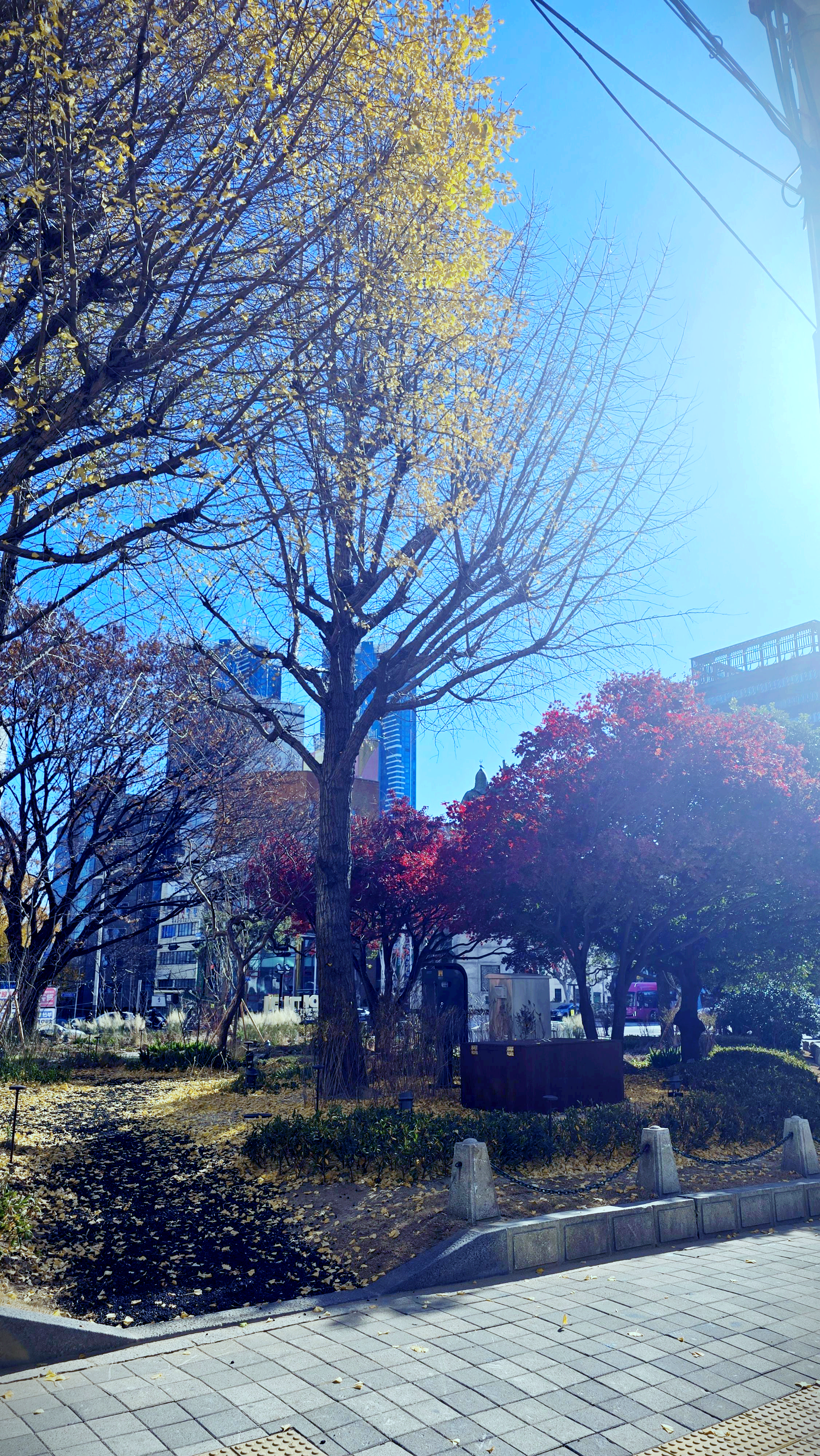 시골정식 사진 7