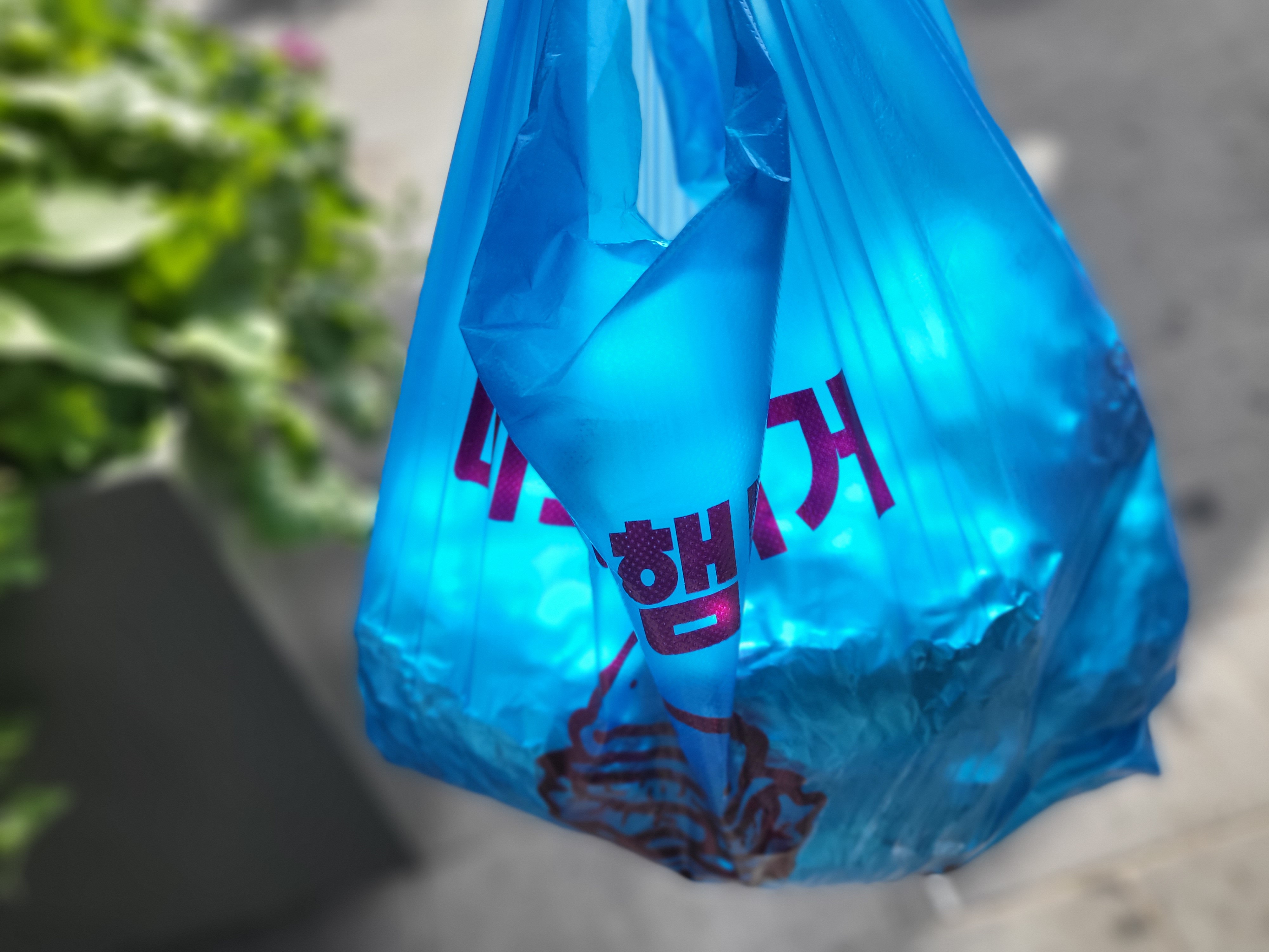 이렇게 투박한 봉투에 햄버거 8개를 담고
집으로 출발