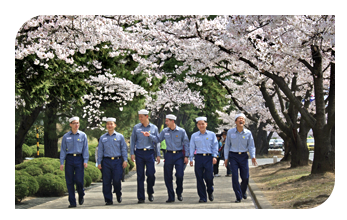 2023 진해 군항제 해군교육사령부 벚꽃명소