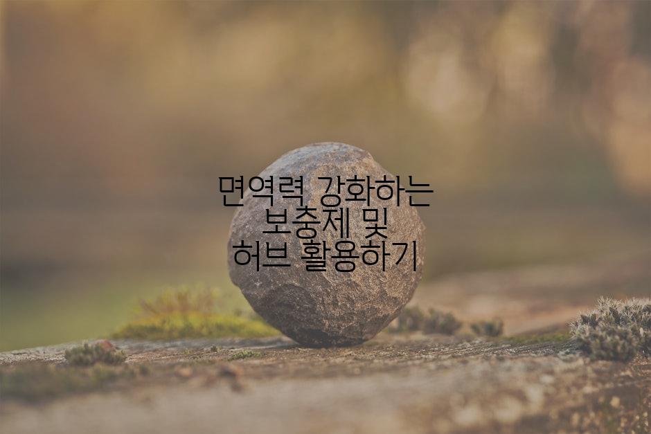 면역력 강화하는 보충제 및 허브 활용하기