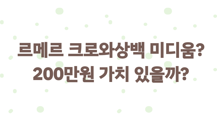 르메르 크로와상백 미디움? 200만원 가치 있을까? 르메르 크로와상백 미디움? 200만원 가치 있을까?