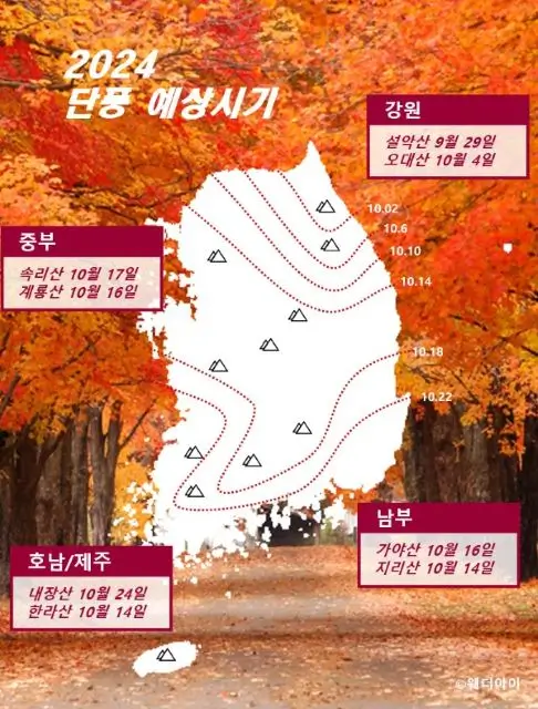 2024년 단풍 예상 시기