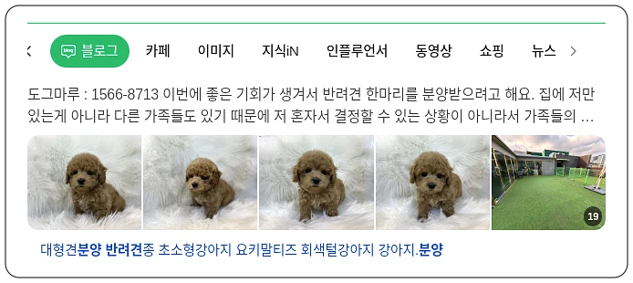 반려견 분양_1_subsection