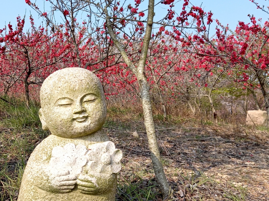 img.jpg