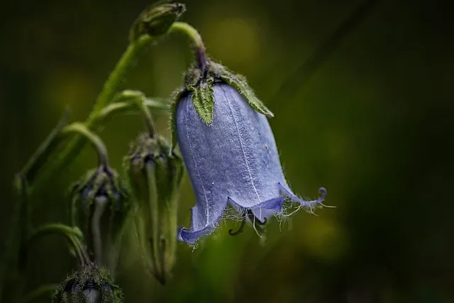 우리나라지도 크게보기 한국지도 이미지 대한민국지도_7